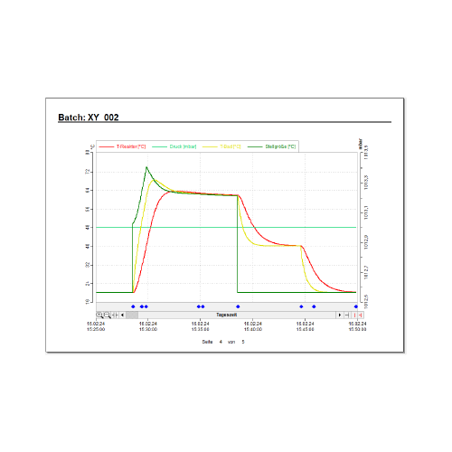 HITEC ZANG LabVision REPORT Diagramm